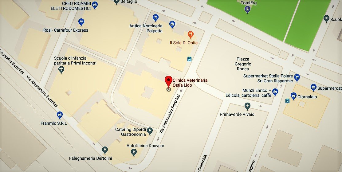 CVOL Clinica Veterinaria a Ostia Lido Roma