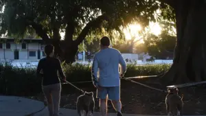 Cane che si agita prima della passeggiata: come rendere più prevedibile il rituale di uscita