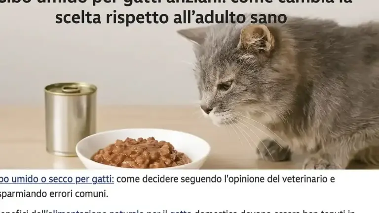 Gatto che mangia e poi si allontana subito dalla ciotola: prima di interpretarlo, guarda cosa succede intorno durante il pasto
