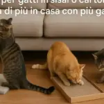 Gatto che usa il divano per graffiare solo in un punto: perché posizione e orientamento della superficie dicono più del materiale da solo